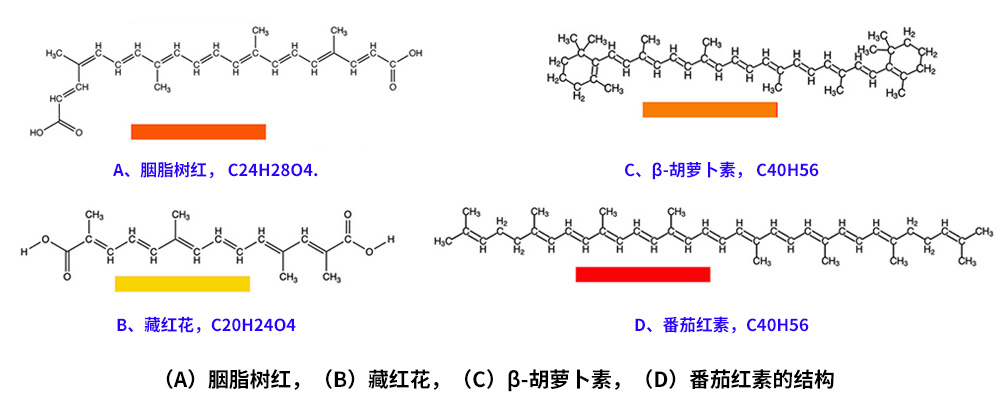 藏紅花、胭脂樹紅、β-胡蘿卜素、番茄紅素的化學(xué)結(jié)構(gòu)