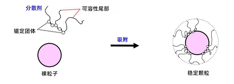 空間位阻分散劑穩(wěn)定顆粒的示例